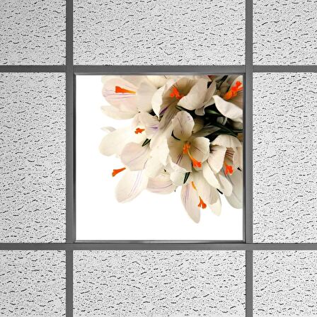 Gök Panel 60X60 LED Panel Sıva Altı Desenli Tekli 46510210SA