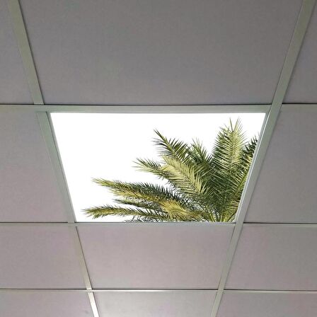 Gök Panel 60X60 LED Panel Sıva Altı Desenli Tekli 46510215SA