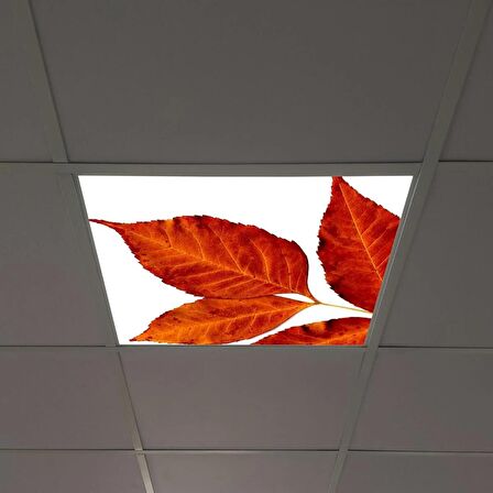 Gök Panel 60X60 LED Panel Sıva Altı Desenli Tekli 46510221SA