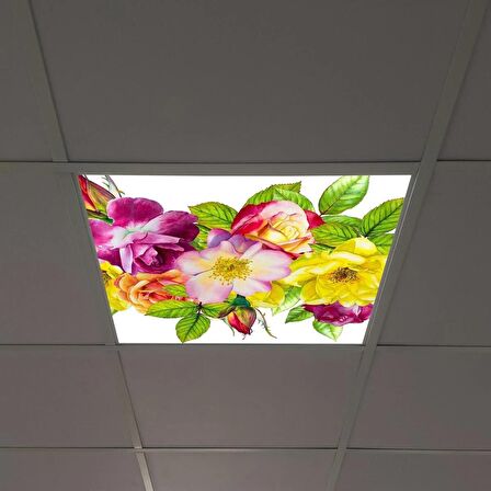 Gök Panel 60X60 LED Panel Sıva Altı Desenli Tekli 46510223SA