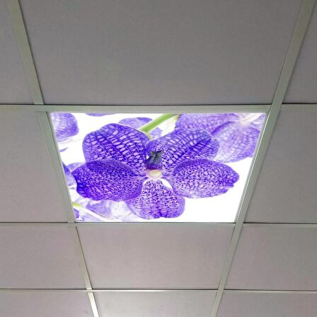 Gök Panel 60X60 LED Panel Sıva Altı Desenli Tekli 46510247SA