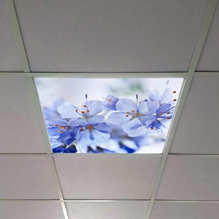 Gök Panel 60X60 LED Panel Sıva Altı Desenli Tekli 46510252SA