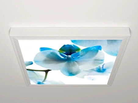 Gök Panel 60X60 LED Panel Aydınlatma Armatür Avize Sıva Üstü Desenli Tekli 46510255SU