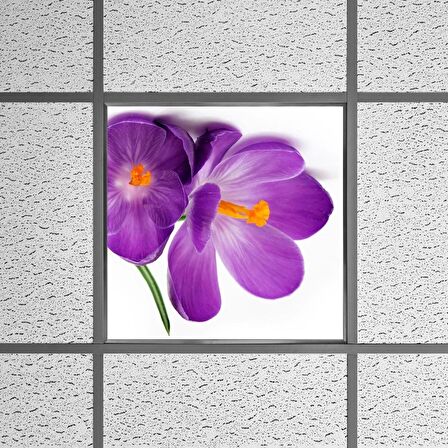 Gök Panel 60X60 LED Panel Sıva Altı Desenli Tekli 46510257SA