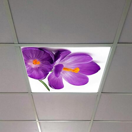 Gök Panel 60X60 LED Panel Sıva Altı Desenli Tekli 46510257SA