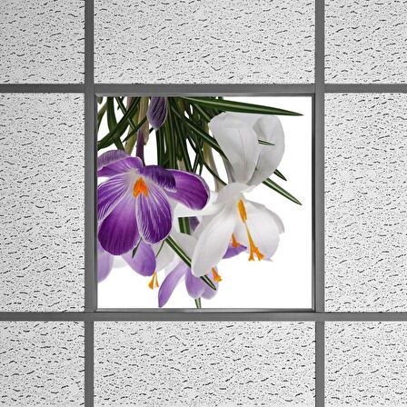 Gök Panel 60X60 LED Panel Sıva Altı Desenli Tekli 46510258SA