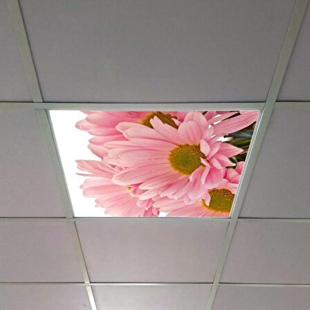 Gök Panel 60X60 LED Panel Sıva Altı Desenli Tekli 46510270SA