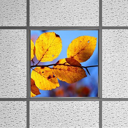 Gök Panel 60X60 LED Panel Sıva Altı Desenli Tekli 46510271SA