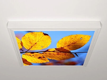 Gök Panel 60X60 LED Panel Aydınlatma Armatür Avize Sıva Üstü Desenli Tekli 46510271SU