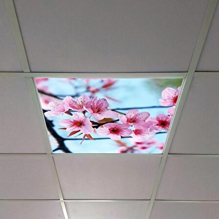 Gök Panel 60X60 LED Panel Sıva Altı Desenli Tekli 46510282SA