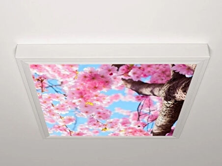 Gök Panel 60X60 LED Panel Aydınlatma Armatür Avize Sıva Üstü Desenli Tekli 46510284SU