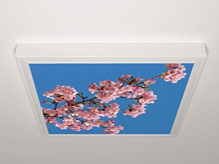 Gök Panel 60X60 LED Panel Aydınlatma Armatür Avize Sıva Üstü Desenli Tekli 46510290SU