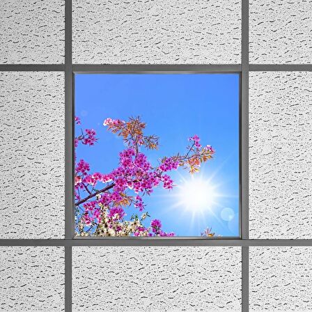 Gök Panel 60X60 LED Panel Sıva Altı Desenli Tekli 46510291SA