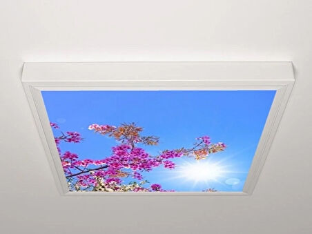 Gök Panel 60X60 LED Panel Aydınlatma Armatür Avize Sıva Üstü Desenli Tekli 46510291SU