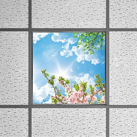 Gök Panel 60X60 LED Panel Sıva Altı Desenli Tekli 46510302SA