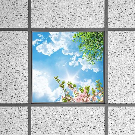 Gök Panel 60X60 LED Panel Sıva Altı Desenli Tekli 46510303SA