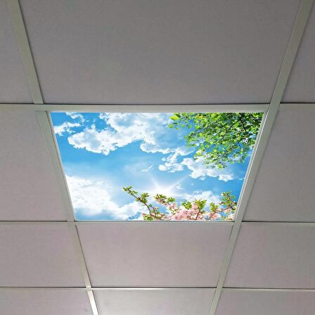 Gök Panel 60X60 LED Panel Sıva Altı Desenli Tekli 46510303SA