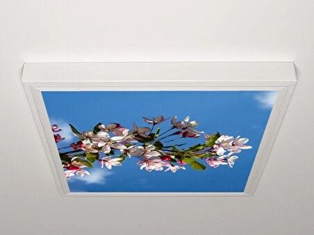 Gök Panel 60X60 LED Panel Aydınlatma Armatür Avize Sıva Üstü Desenli Tekli 46510304SU