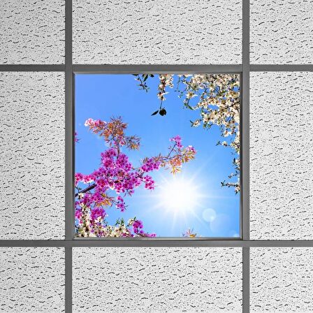 Gök Panel 60X60 LED Panel Sıva Altı Desenli Tekli 46510312SA