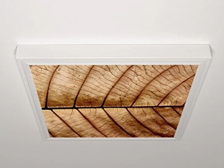Gök Panel 60X60 LED Panel Aydınlatma Armatür Avize Sıva Üstü Desenli Tekli 46510319SU