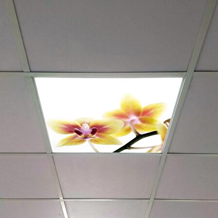 Gök Panel 60X60 LED Panel Sıva Altı Desenli Tekli 46510321SA