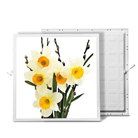 Gök Panel 60X60 LED Panel Sıva Altı Desenli Tekli 46510322SA