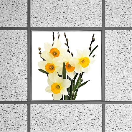 Gök Panel 60X60 LED Panel Sıva Altı Desenli Tekli 46510322SA