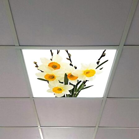 Gök Panel 60X60 LED Panel Sıva Altı Desenli Tekli 46510322SA