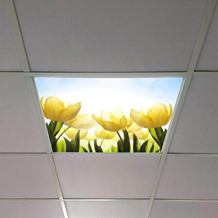 Gök Panel 60X60 LED Panel Sıva Altı Desenli Tekli 46510323SA