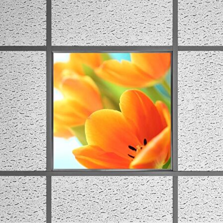 Gök Panel 60X60 LED Panel Sıva Altı Desenli Tekli 46510324SA