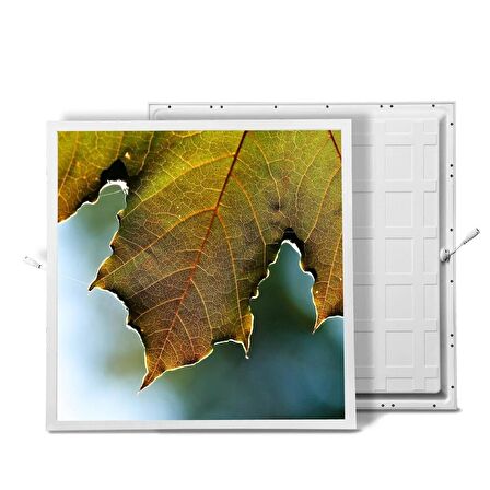 Gök Panel 60X60 LED Panel Sıva Altı Desenli Tekli 46510325SA