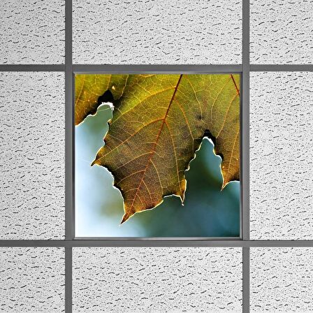 Gök Panel 60X60 LED Panel Sıva Altı Desenli Tekli 46510325SA