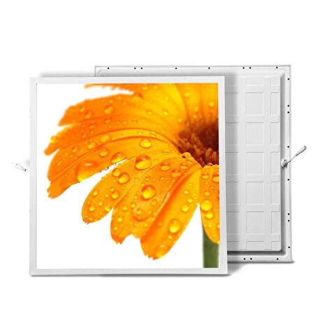 Gök Panel 60X60 LED Panel Sıva Altı Desenli Tekli 46510326SA