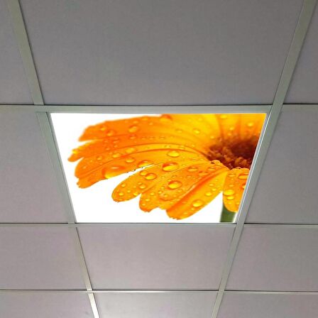 Gök Panel 60X60 LED Panel Sıva Altı Desenli Tekli 46510326SA