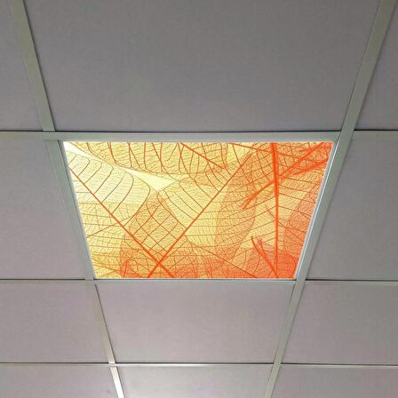 Gök Panel 60X60 LED Panel Sıva Altı Desenli Tekli 46510327SA