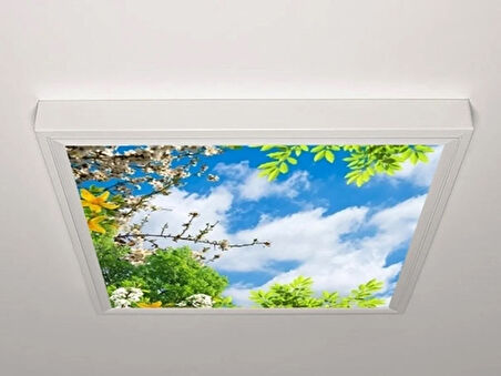 Gök Panel 60X60 LED Panel Aydınlatma Armatür Avize Sıva Üstü Desenli Tekli 46510428SU