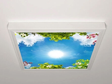 Gök Panel 60X60 LED Panel Aydınlatma Armatür Avize Sıva Üstü Desenli Tekli 46510447SU