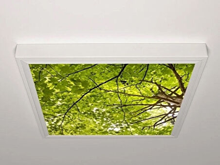 Gök Panel 60X60 LED Panel Aydınlatma Armatür Avize Sıva Üstü Desenli Tekli 46510539SU