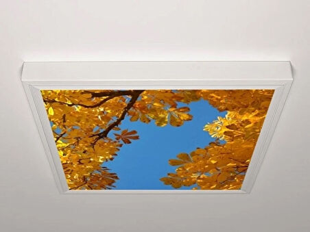 Gök Panel 60X60 LED Panel Aydınlatma Armatür Avize Sıva Üstü Desenli Tekli 46510565SU