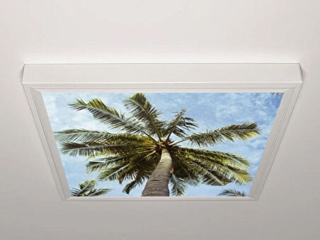 Gök Panel 60X60 LED Panel Aydınlatma Armatür Avize Sıva Üstü Desenli Tekli 46510567SU