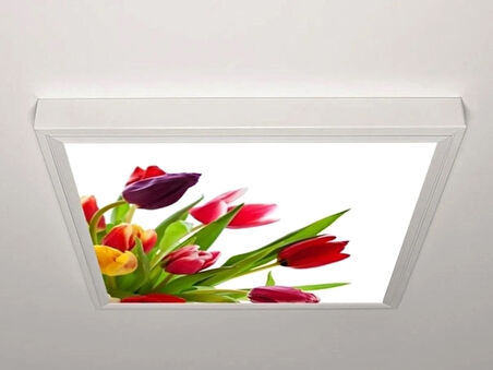 Gök Panel 60X60 LED Panel Aydınlatma Armatür Avize Sıva Üstü Desenli Tekli 46510645SU