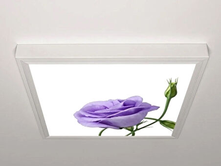 Gök Panel 60X60 LED Panel Aydınlatma Armatür Avize Sıva Üstü Desenli Tekli 46510679SU