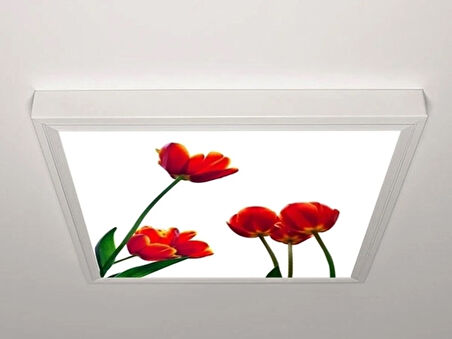 Gök Panel 60X60 LED Panel Aydınlatma Armatür Avize Sıva Üstü Desenli Tekli 46510698SU