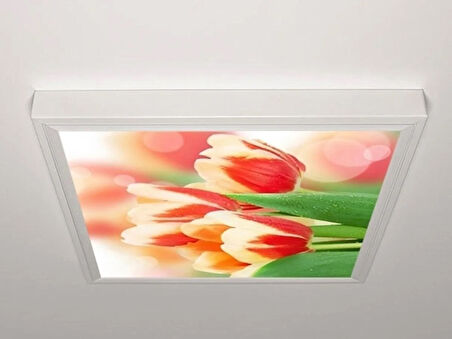 Gök Panel 60X60 LED Panel Aydınlatma Armatür Avize Sıva Üstü Desenli Tekli 46510761SU