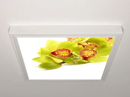Gök Panel 60X60 LED Panel Aydınlatma Armatür Avize Sıva Üstü Desenli Tekli 46511000SU