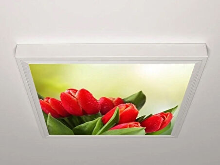 Gök Panel 60X60 LED Panel Aydınlatma Armatür Avize Sıva Üstü Desenli Tekli 46511107SU