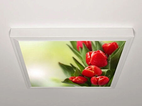 Gök Panel 60X60 LED Panel Aydınlatma Armatür Avize Sıva Üstü Desenli Tekli 46511109SU