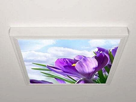 Gök Panel 60X60 LED Panel Aydınlatma Armatür Avize Sıva Üstü Desenli Tekli 46511128SU