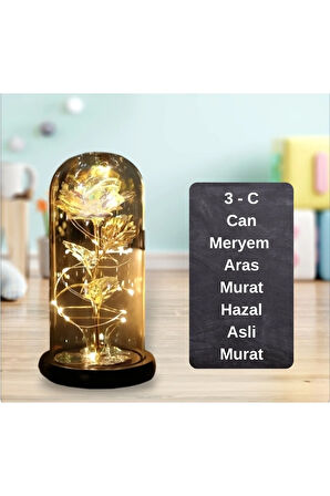 Sevgiliye Hediye Özel Hediye Dekoratif Fanus Hediyelik