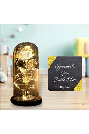 Sevgiliye Hediye Özel Hediye Dekoratif Fanus Hediyelik
